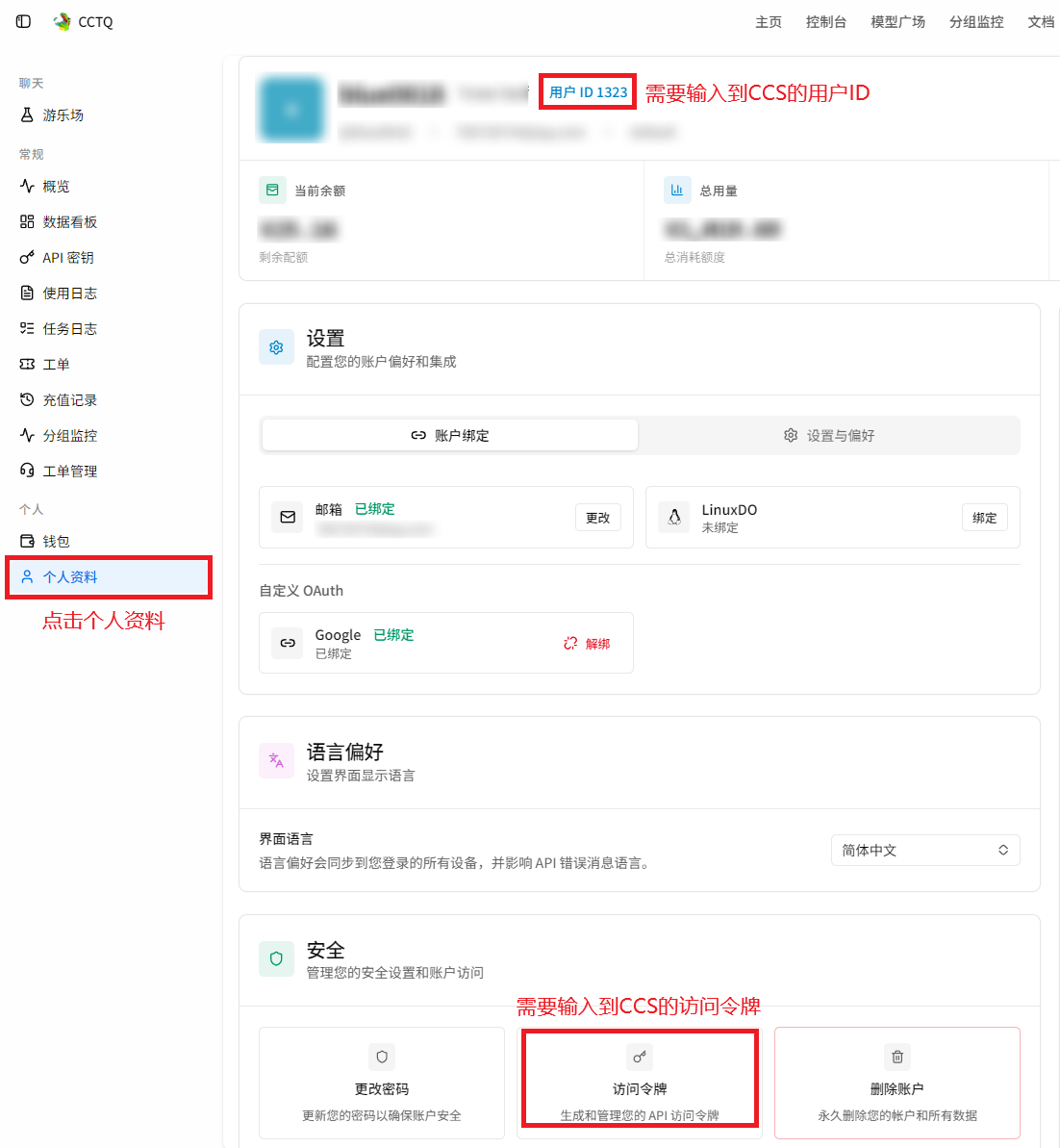 CCTQ 个人资料中的用户 ID 和访问令牌入口